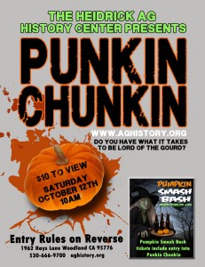 PunkinChunkin copy